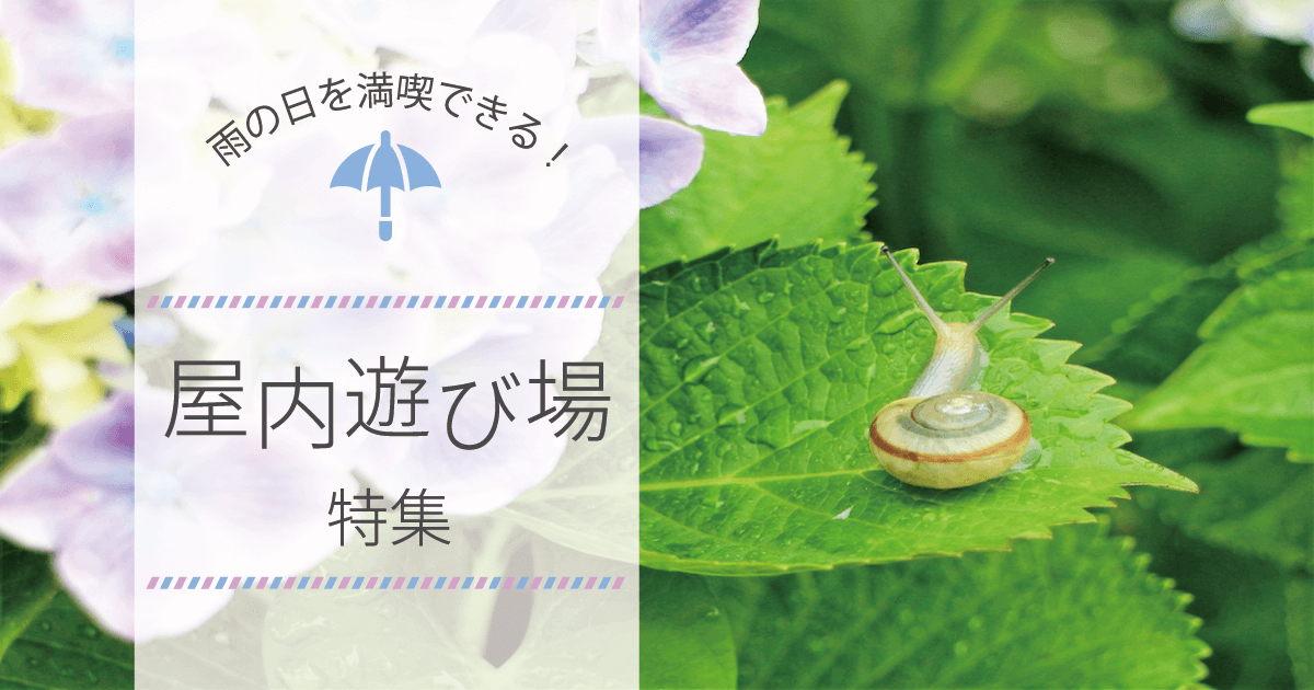 雨の日を満喫できる！