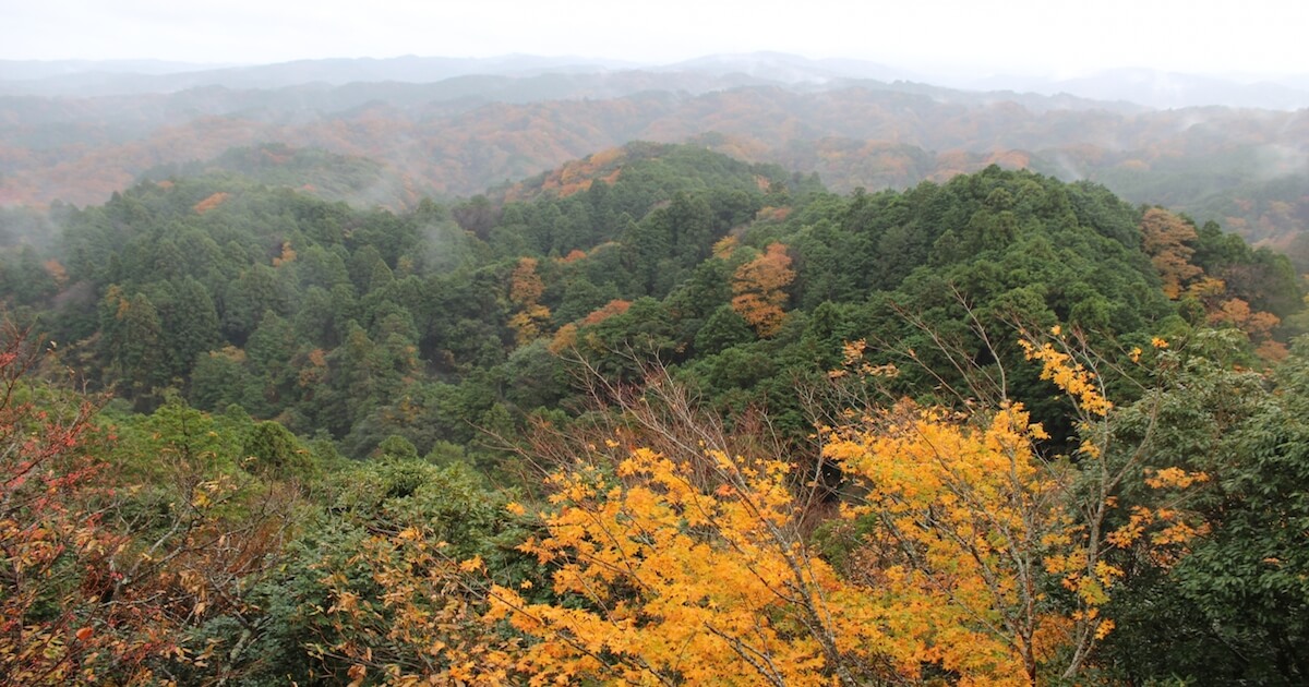 鶴岡八幡宮